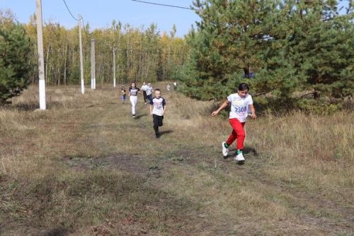 «Кросс Татарстана— 2023» в Дрожжановском районе РТ