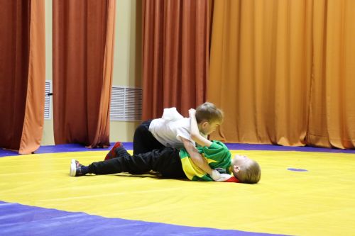 Турнир по борьбе "Көрәш" памяти Фарита Азизова в селе Нижние Каракитяны Дрожжановского района РТ