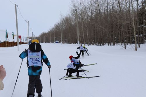 Лыжные гонки на Кубок В.Ф.Колпакова в Дрожжаном -2024