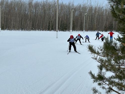 Лыжные гонки на Кубок В.Ф.Колпакова в Дрожжаном -2024