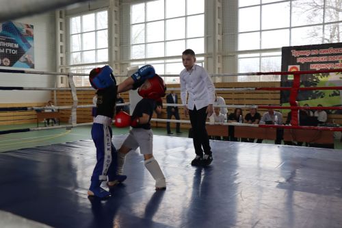 Соревнования по кикбоксингу 2024