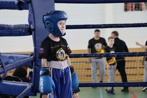 Соревнования по кикбоксингу 2024