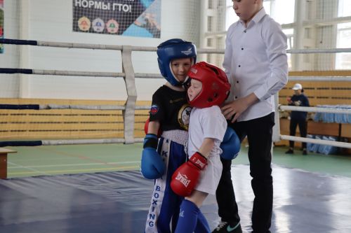 Соревнования по кикбоксингу 2024