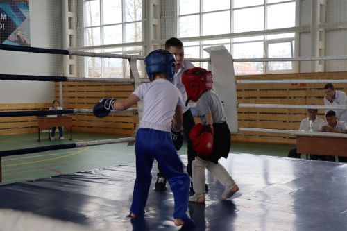 Соревнования по кикбоксингу 2024