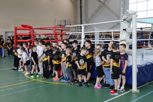 Соревнования по кикбоксингу 2024