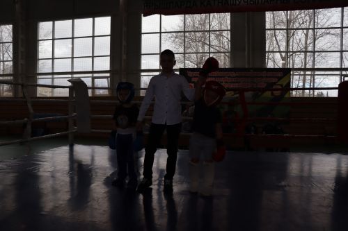 Соревнования по кикбоксингу 2024