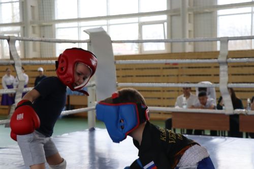 Соревнования по кикбоксингу 2024