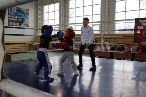Соревнования по кикбоксингу 2024