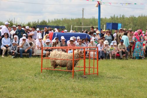 Сабантуй-2024 Дрожжаное