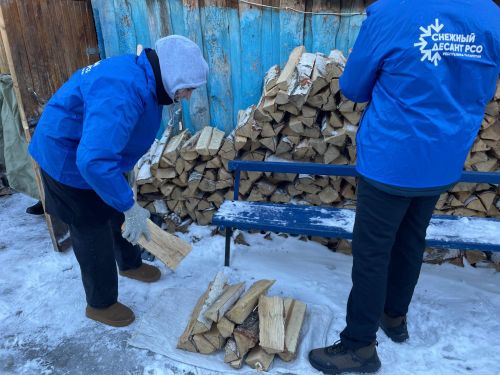 Снежный десант российских студенческих отрядов в Дрожжановском районе РТ