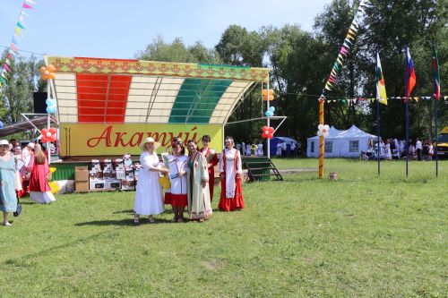 Акатуй в Дрожжановском районе -2025