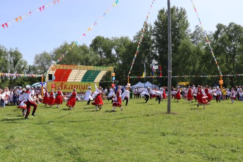 Акатуй в Дрожжановском районе -2025