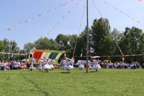 Акатуй в Дрожжановском районе -2025