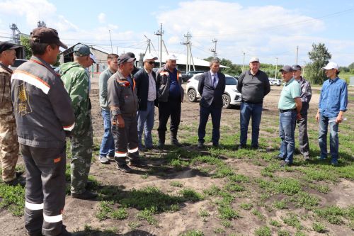 В Дрожжановском районе РТ состоялся парад комбайнов-2025
