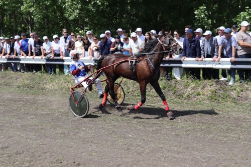 Сабантуй в Дрожжановском районе -2026