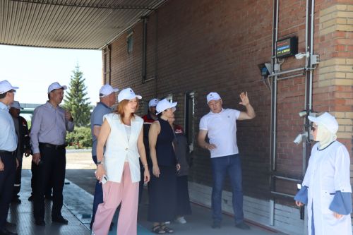 В Дрожжановском районе проверили готовность элеватора к приёму нового урожая