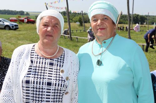 День села в Старых Какерлях Дрожжановского района -2026