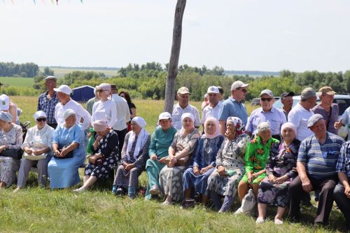 День села в Старых Какерлях Дрожжановского района -2026
