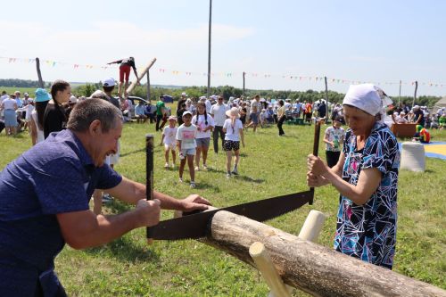 День села в Старых Какерлях Дрожжановского района -2026