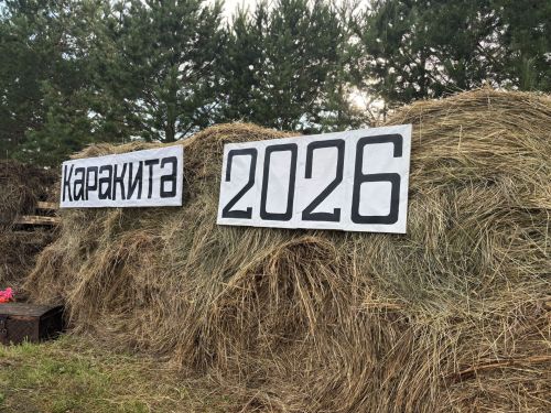 День села в селе Нижние Каракитяны-2026