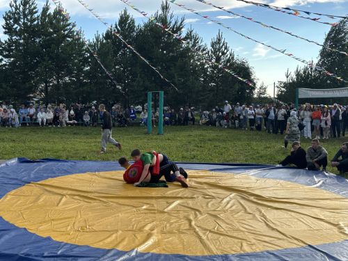 День села в селе Нижние Каракитяны-2026