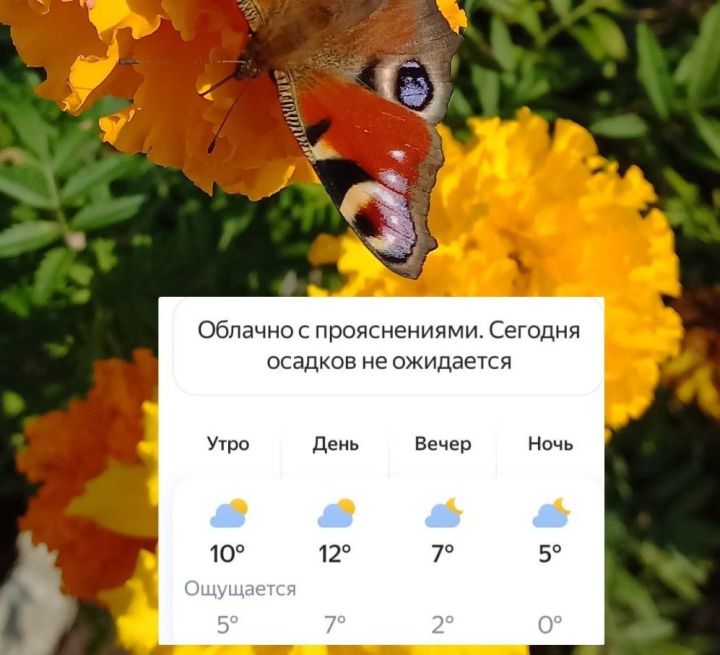 Ырă кун!