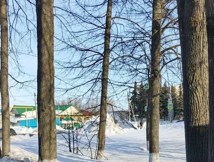Погода в Дрожжановском районе на 19 марта