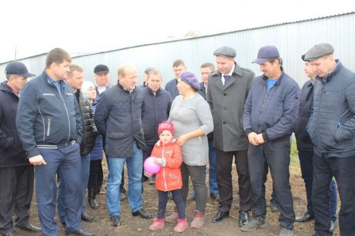 В Дрожжановском районе поголовье коров увеличилось