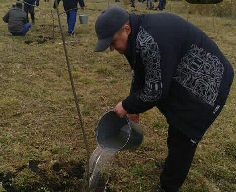 Дрожжановцы присоединились к акции "День посадки леса".