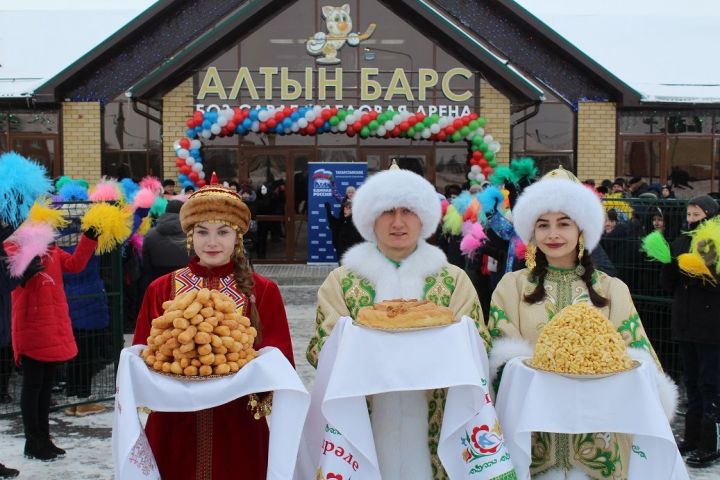 В Дрожжановском районе открылась  ледовая арена "Алтын Барс"