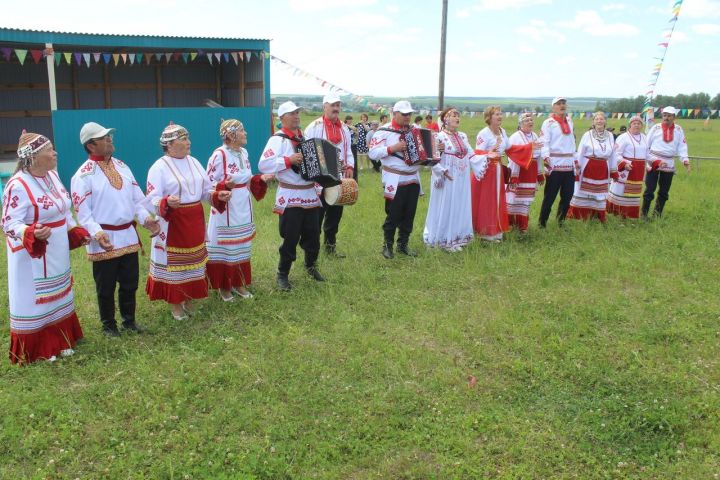 Праздник «День села» прошел в Нижнем Чекурске Дрожжановского района