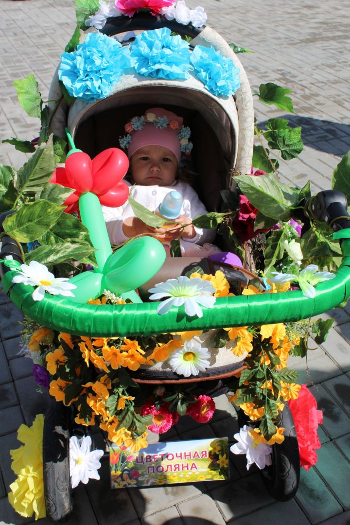 В Дрожжаном  пройдет семейный  парад  детских колясок