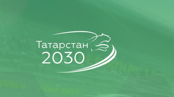 Дрожжановцы могут  оставить свою инициативу по дополнению Стратегии-2030 РТ