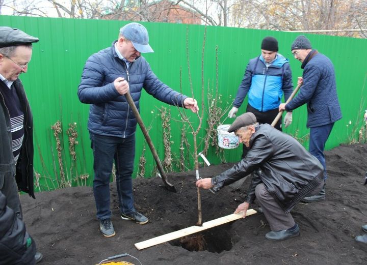 Фруктовый сад для односельчан разбил 83-летний житель Дрожжановского района