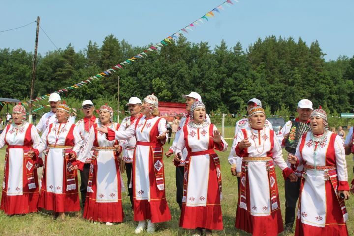 В Нижнем Чекурске Дрожжановского района отметили День Села