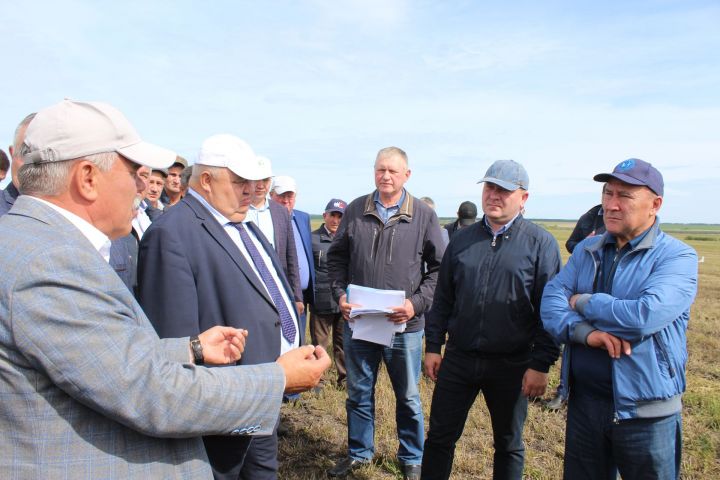 Министр сельского хозяйства и продовольствия РТ Марат Ахметов побывал в Дрожжановском районе