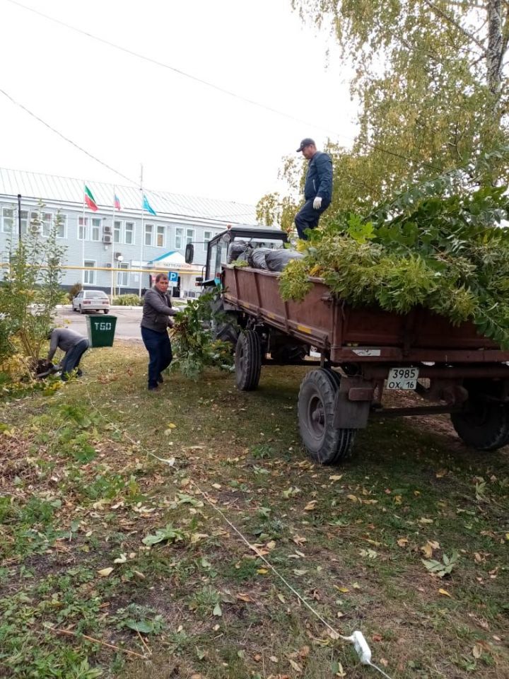 В Дрожжановском районе стартовали осенние субботники