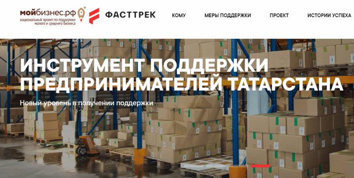 4,5 тысяч предпринимателей Татарстана смогли получить господдержку благодаря порталу ФАСТТРЕК.РФ