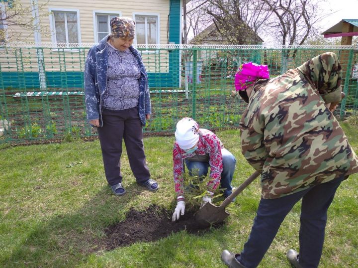 Дрожжановские волонтеры высадили «Палисадник Победы» у дома ветерана
