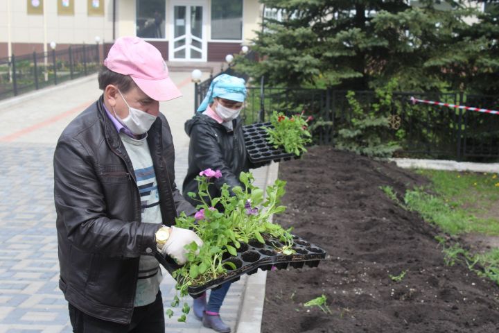 На улицах и парках Дрожжановского  района высадят 5500 цветов