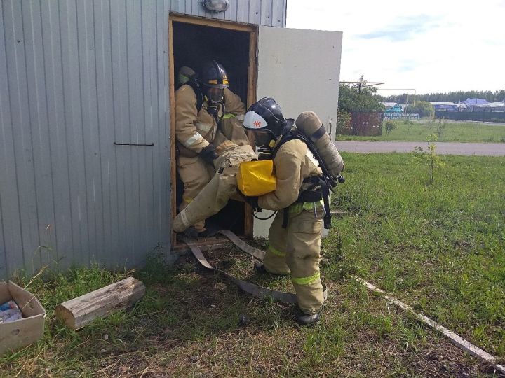 Дрожжановские пожарные вынесли пострадавшего Яшку из огня