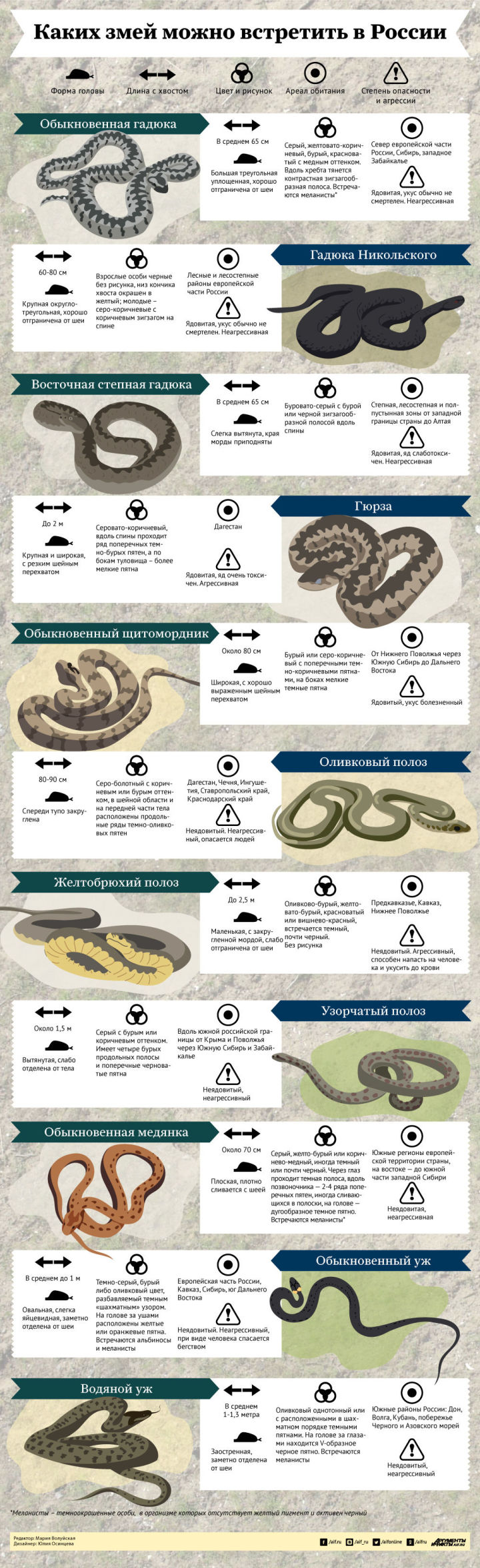 Каких змей и где можно встретить в России?