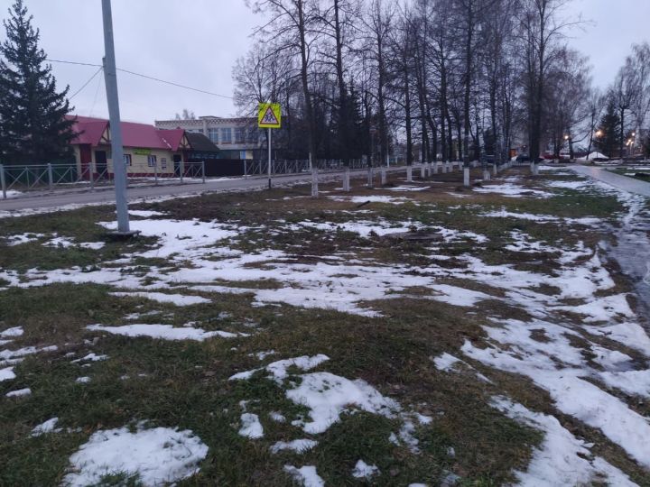 Будет ли зима: профессор КФУ рассказал об аномальной погоде в Татарстане