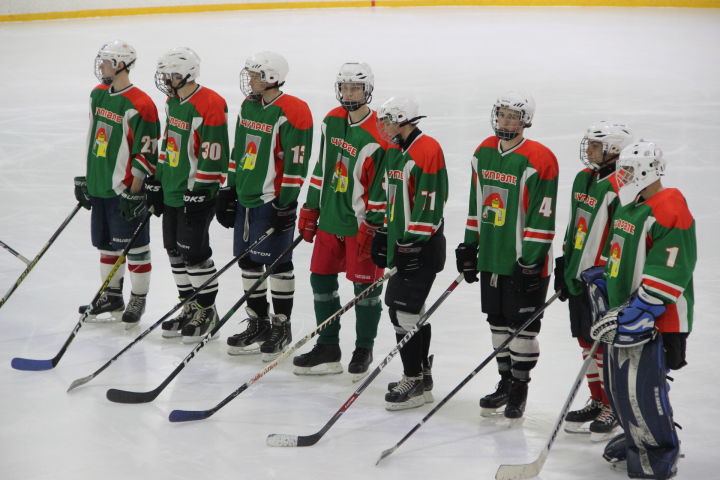 Студенты дрожжановского техникума сыграли в хоккей в Буинске