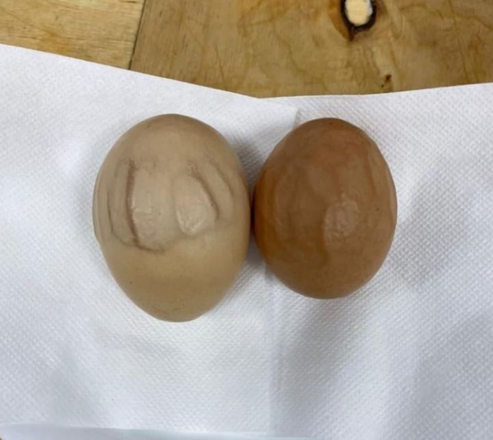 В хозяйстве Мушараповых из села Новое Дрожжаное курица снесла необычные яйца