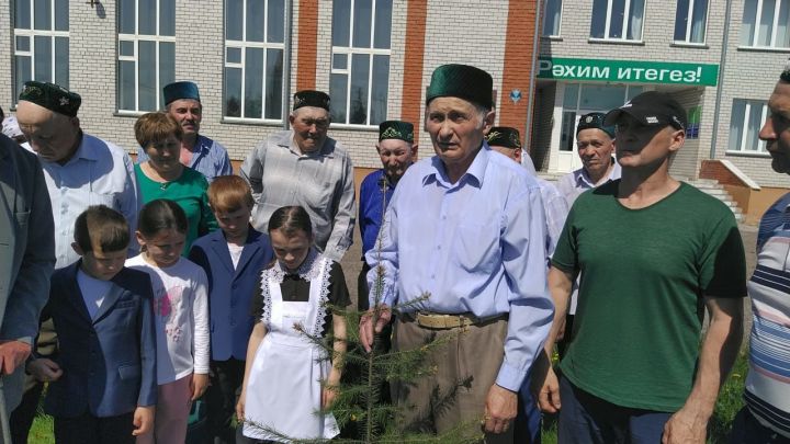 Заслуженный лесовод Татарстана Ирфан Халитов на родной земле посадил редкое дерево