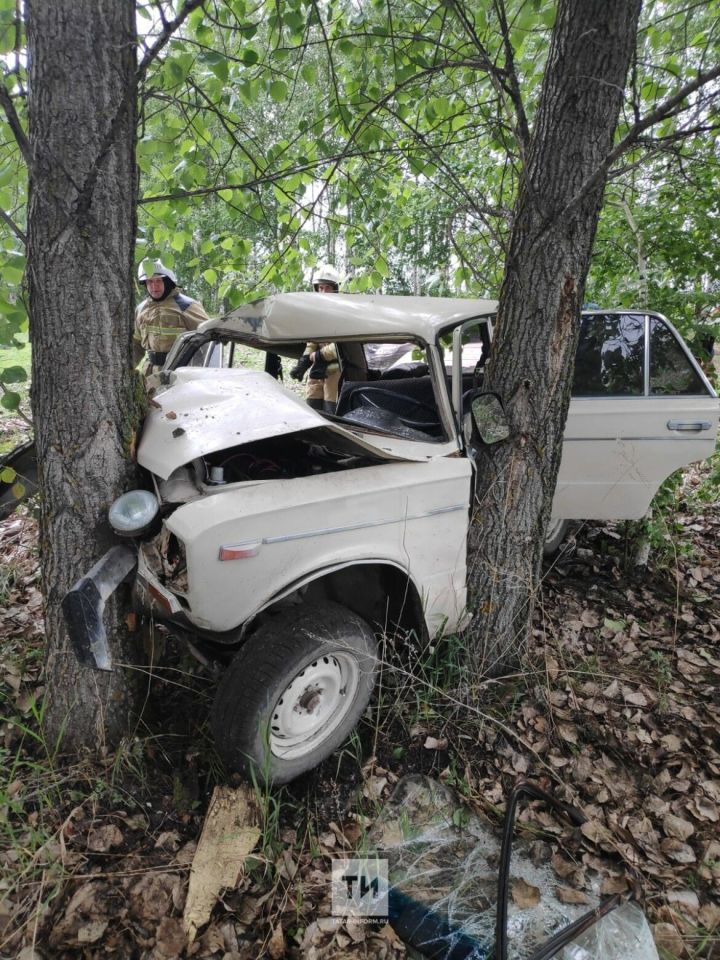 В Дрожжановском районе автомобиль врезался в дерево