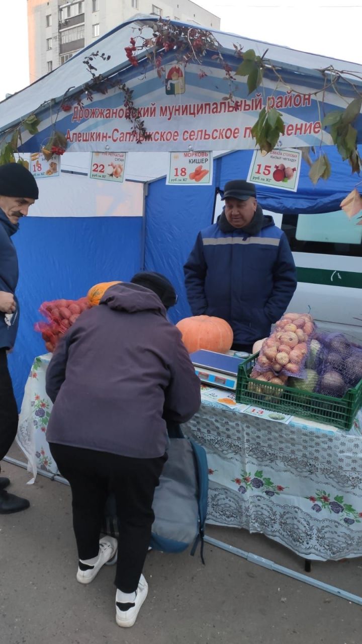 Дрожжановцы принимают участие на очередной сельхозярмарке в Казани