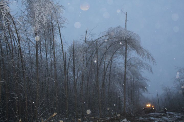 Природный апокалипсис: Дрожжановский  район оказался в западне ледяного дождя и мокрого снега