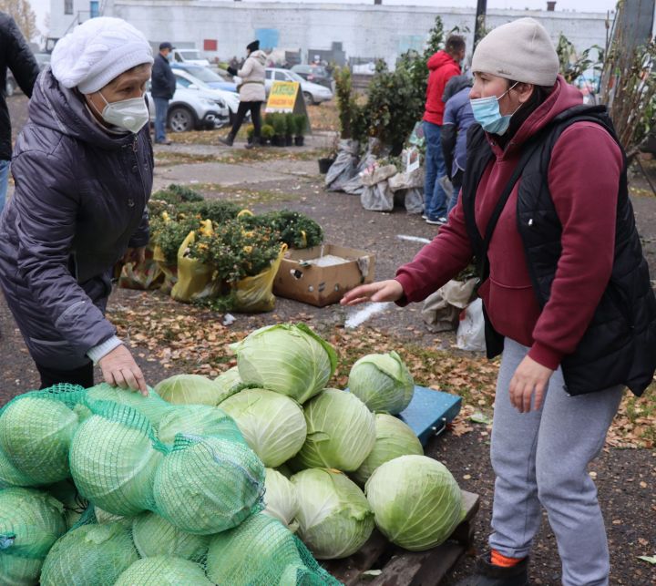 Ко Дню пожилых людей в Дрожжановском районе будет организована сельскохозяйственная ярмарка